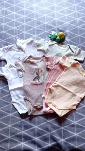 🦁Lot 7 bodies manches courtes, 3 mois