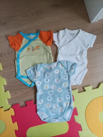Lot de 3 bodies manches courtes