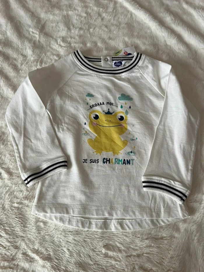 Tee shirt manche longue grenouille
