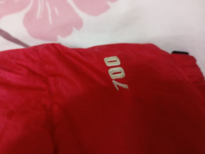 Doudoune north face très bon état serie speciale summit - photo numéro 4