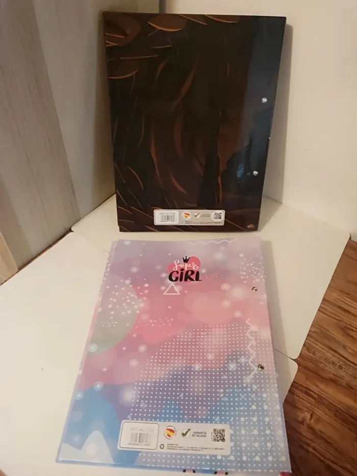 Lot classeurs - photo numéro 2