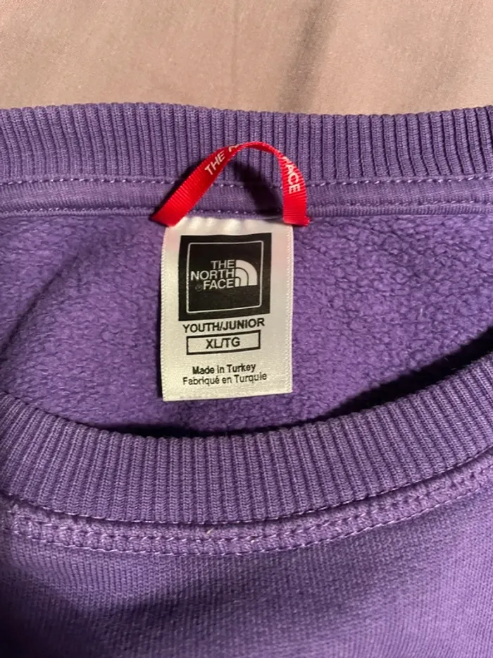 pull the north face - photo numéro 3