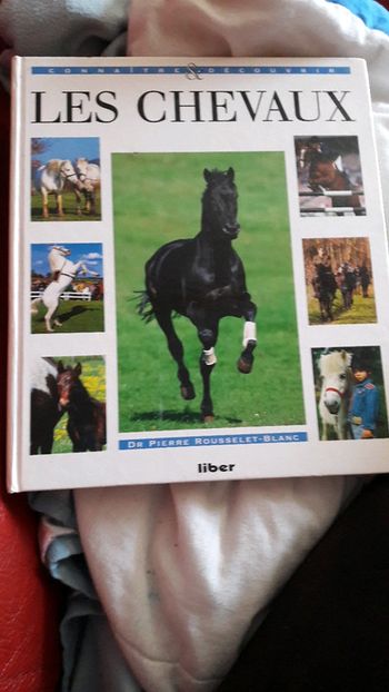 Les chevaux