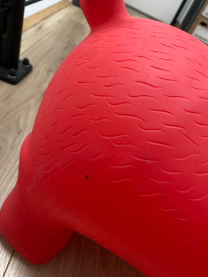 Animal chien sauteur oxybul - photo numéro 6