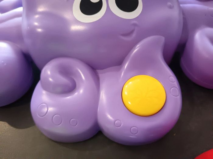 Pieuvre jet d'eau. - photo numéro 4