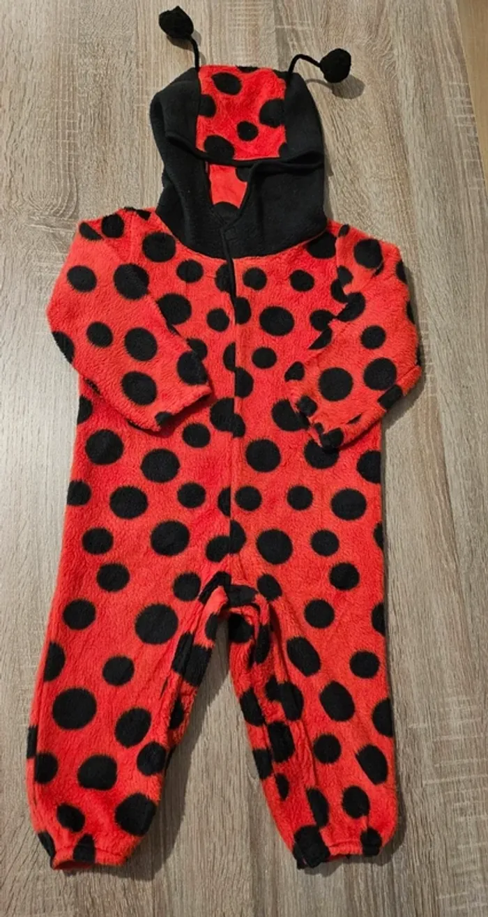 Costume coccinelle 18/24 mois - photo numéro 12