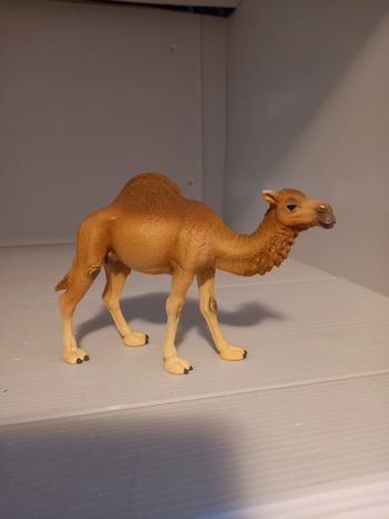 Schleich chameau