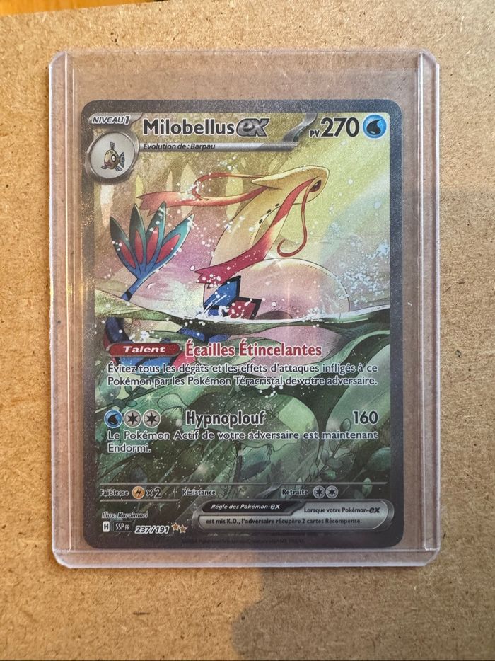 Milobellus ex SSP 237 FR - photo numéro 2
