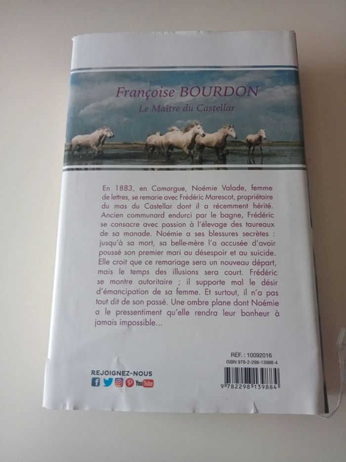 livre le maître du castellar - photo numéro 2