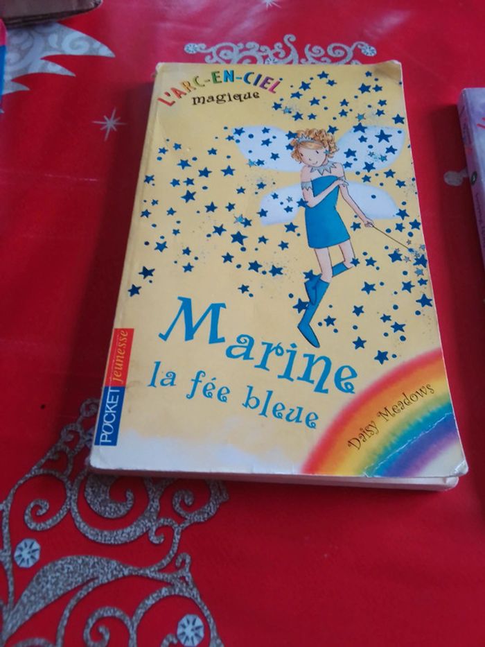 Lot 2 livres l'arc en Ciel magique