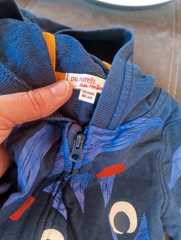 Gilet veste zippée avec capuche Garçon 18 mois tigre Dpam - photo numéro 3