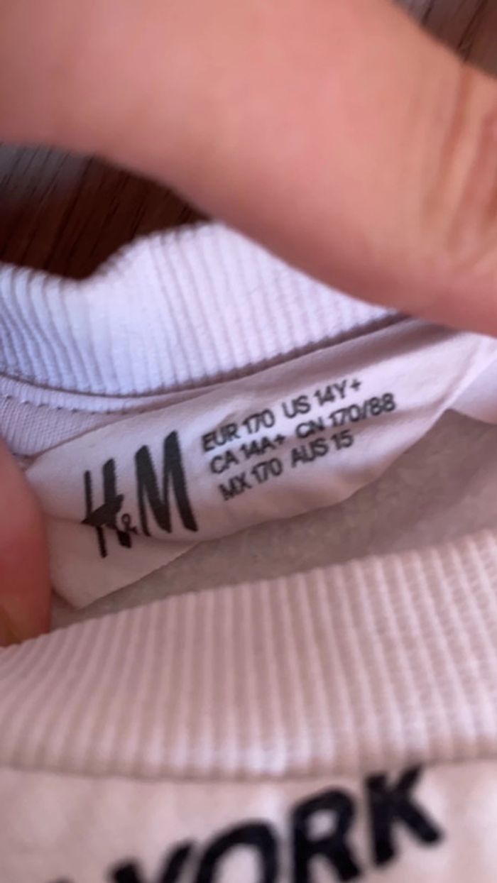 Pull taille 14+ - photo numéro 2