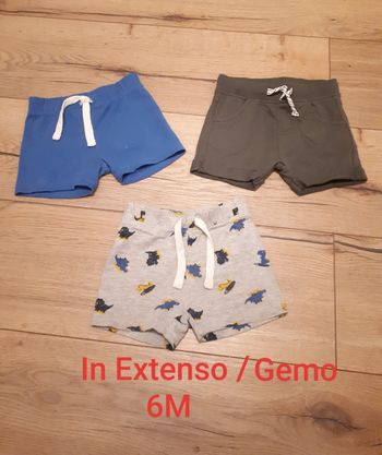 Lot 3 shorts 6M