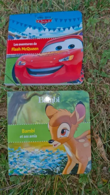 Lot de 2 livres cartonnés disnes Cars et Bambi