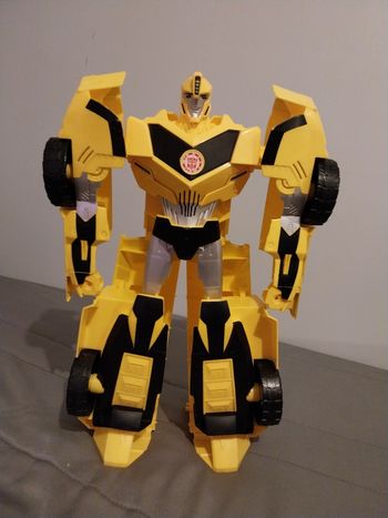 Gros bumblebee