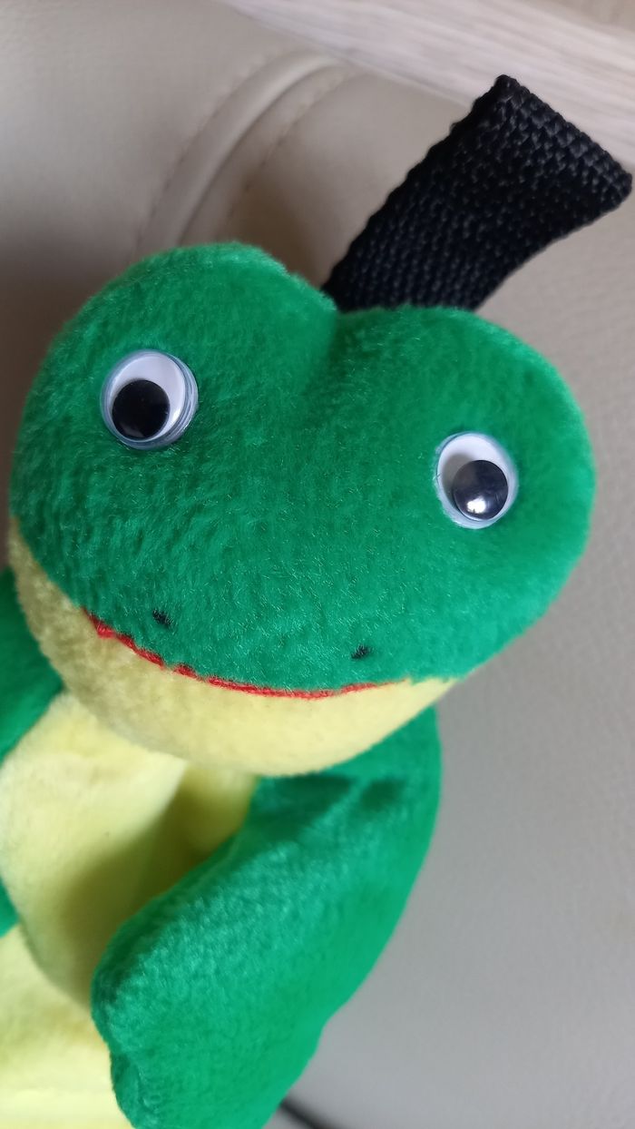 Trousse, peluche grenouille - photo numéro 5