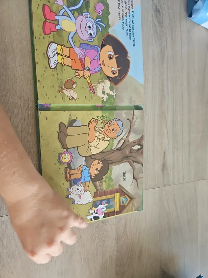 Livre dora l'exploratrice - photo numéro 5