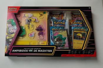 Coffret pokémon ampibidou ex de mashynn