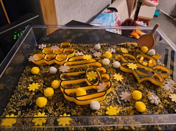 Bac sensoriel thème abeille 