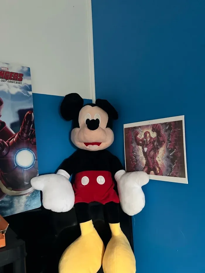 Grand Mickey - photo numéro 2