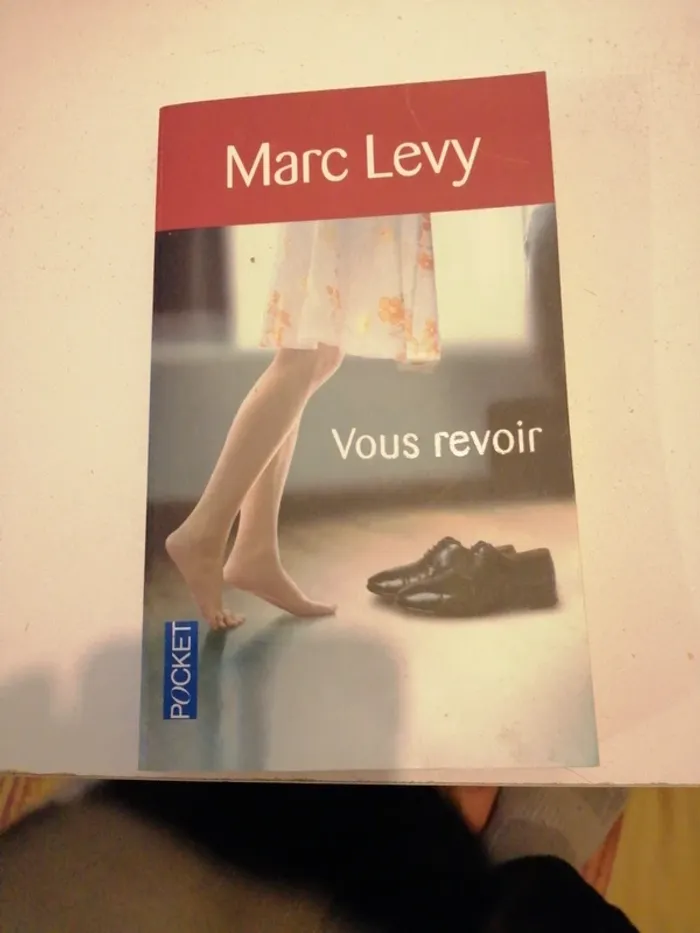 Vous revoir de Marc Levy