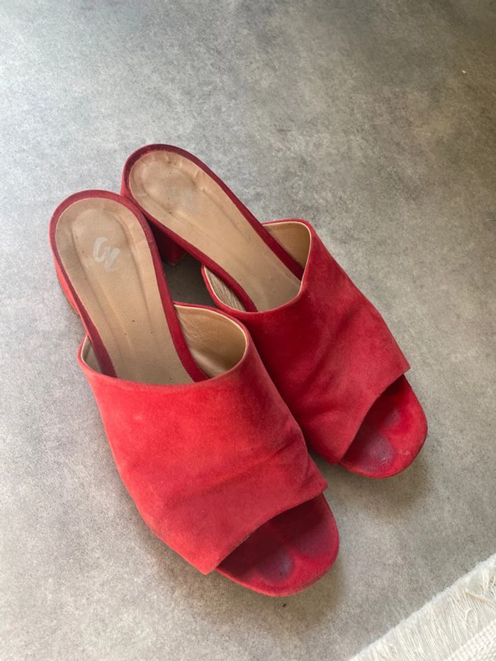 Mules - photo numéro 5