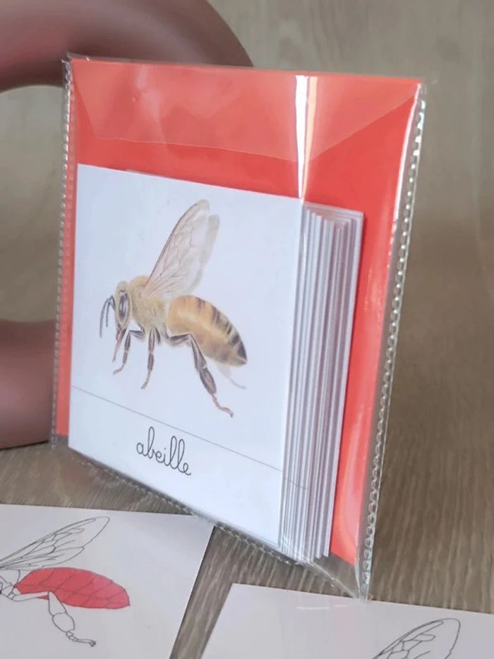 Cartes de nomenclature de l'abeille - photo numéro 7