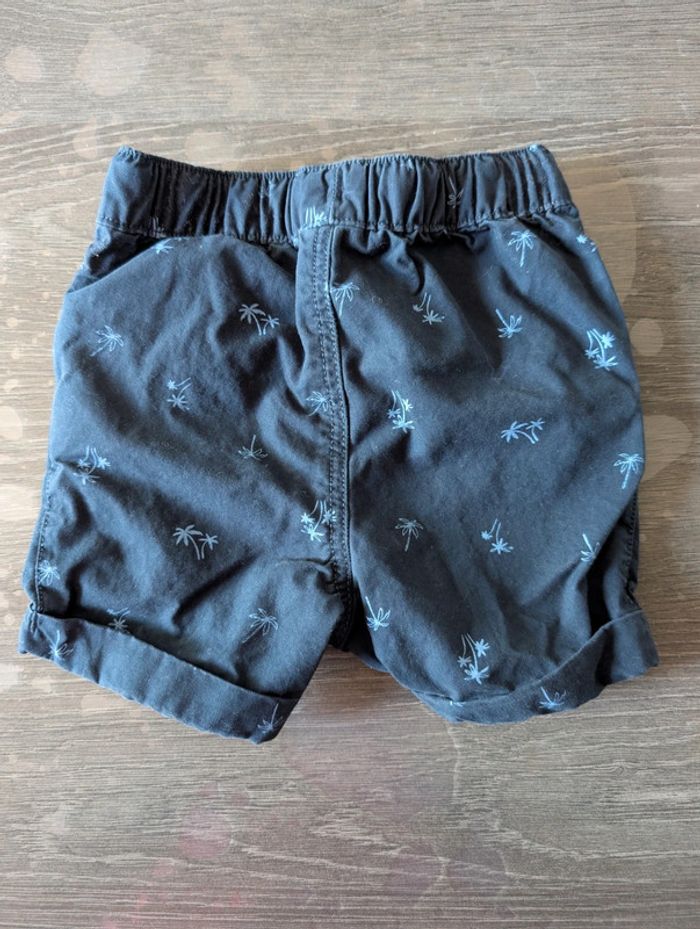 Short palmier - photo numéro 3