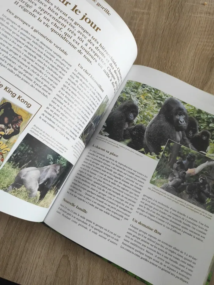 Livre édition atlas le gorille - photo numéro 3