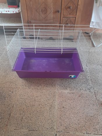 Cage rongeurs ( pas d'envoi )