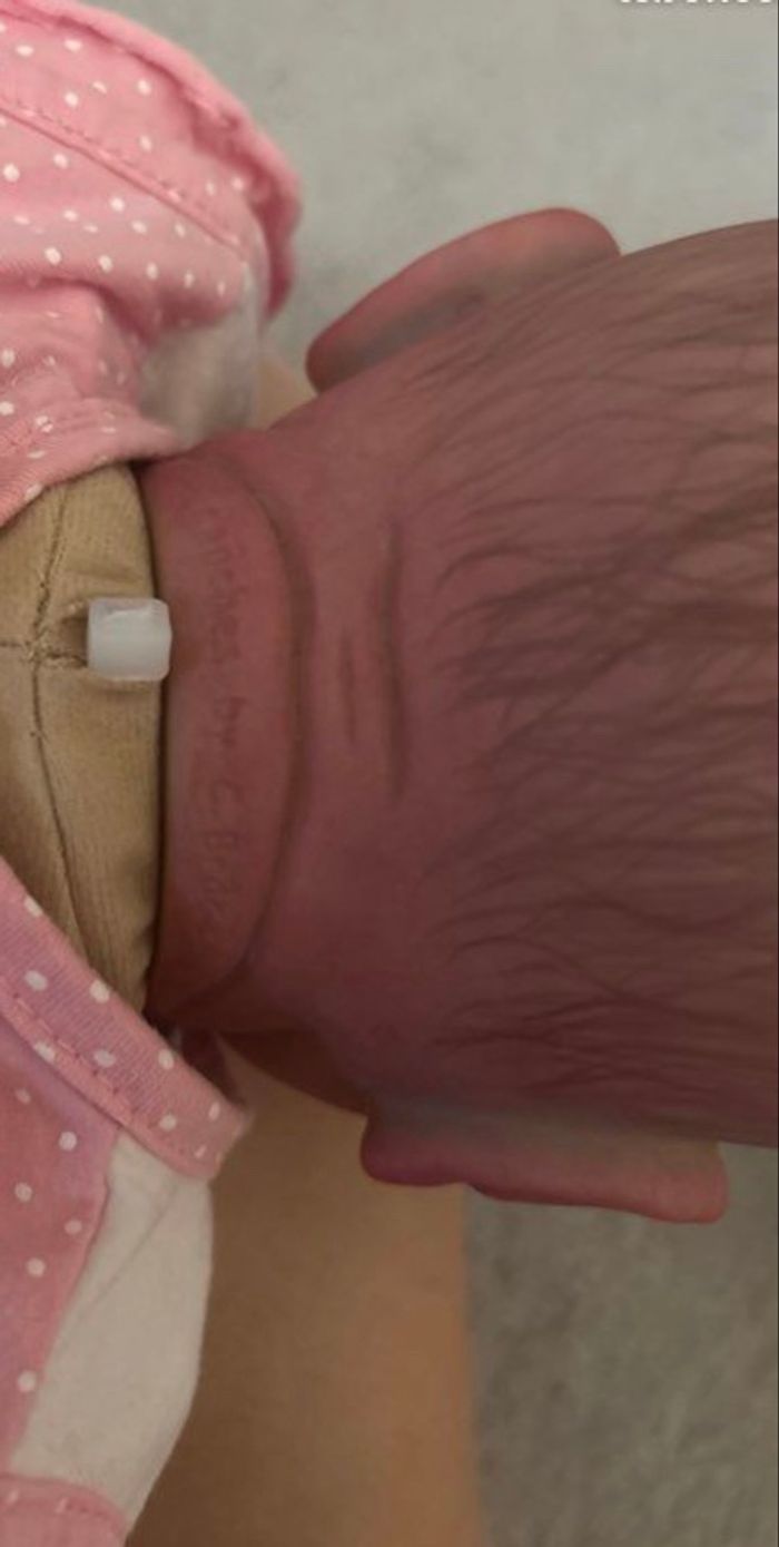 Reborn - photo numéro 3