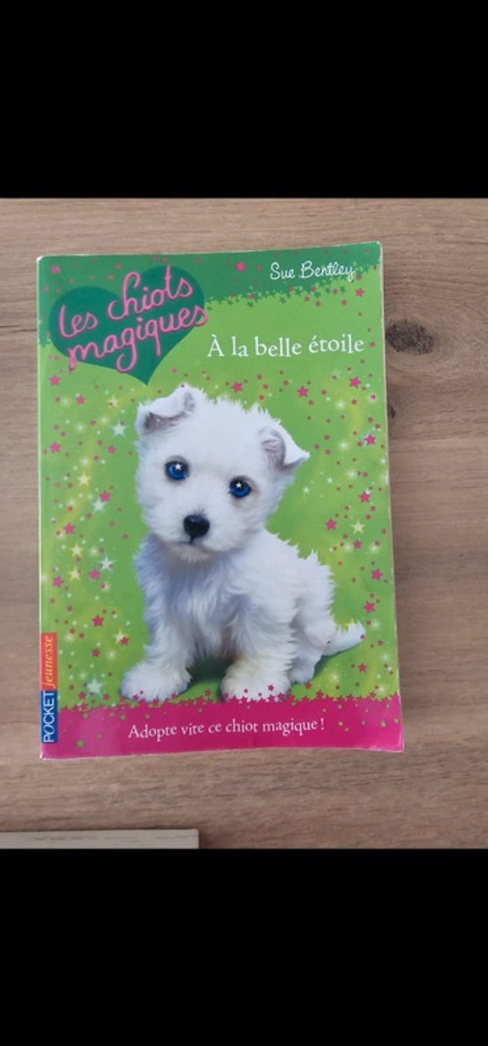 Livre chiots, chatons magiques / poney club enfant - photo numéro 9
