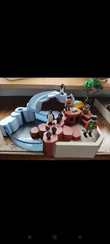 Aquarium des pingouins