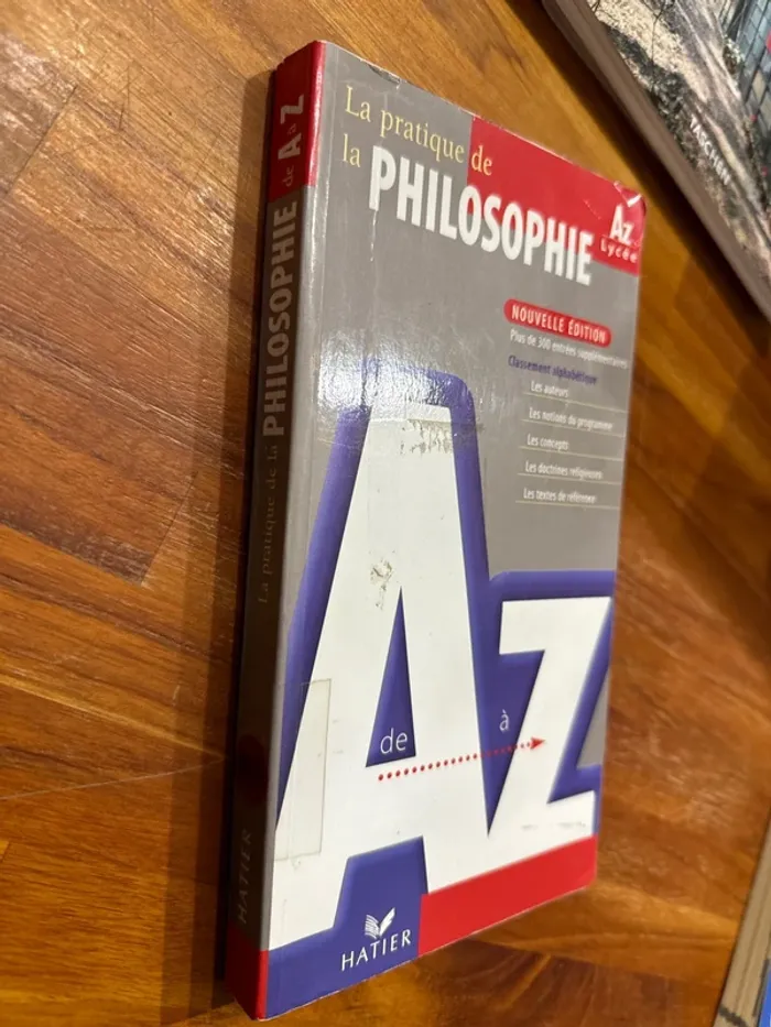 Livre la pratique de la philosophie - photo numéro 2