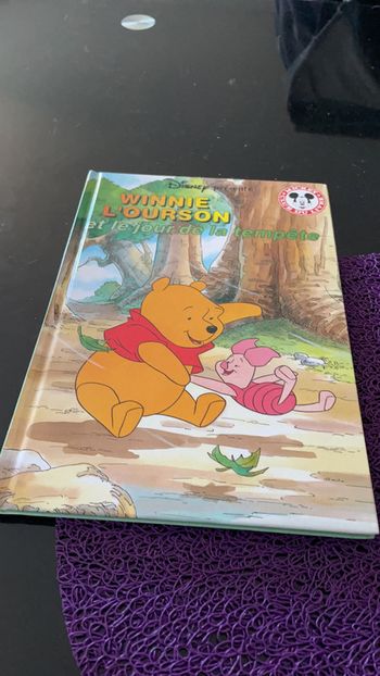 Livre Disney Winnie l ourson