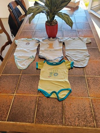 Lot de 4 bodies manches courtes