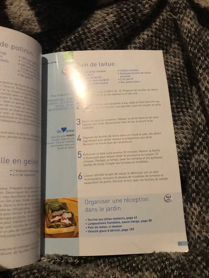 Flexipoints au fil des jours weightwatchers - photo numéro 4