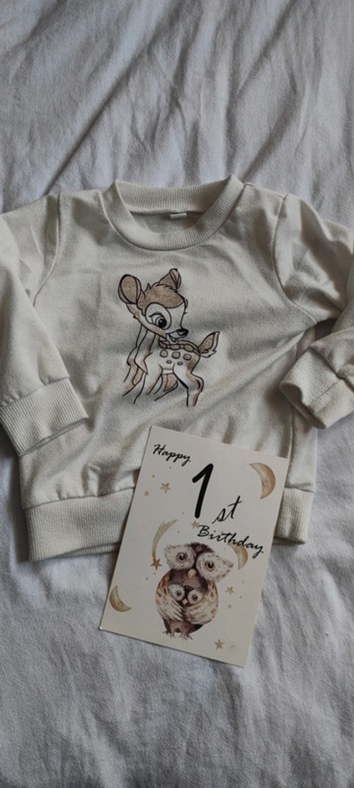Pull 12/18 mois