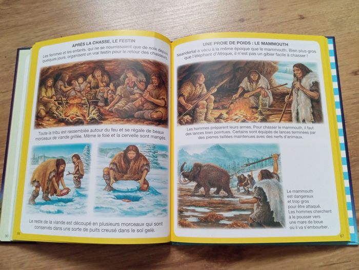 L'imagerie dinosaures et préhistoire - photo numéro 5