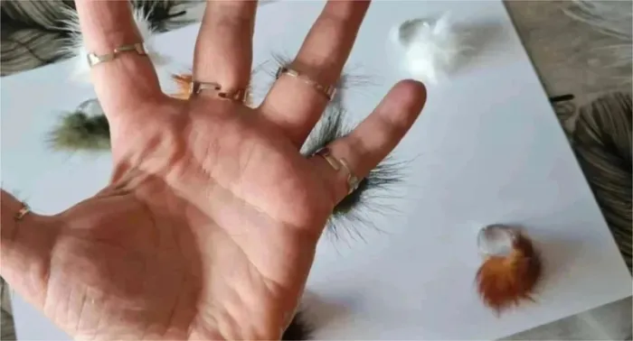 8  bagues  fantaisie réglable - photo numéro 2