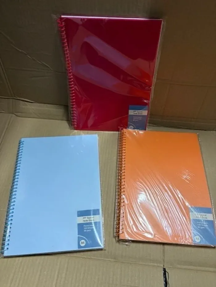 lot de 3 cahiers A4 a spirale a petits carreaux
