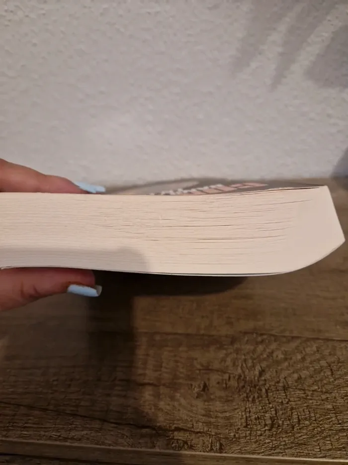 📚 livre dans la ville en feu - photo numéro 4