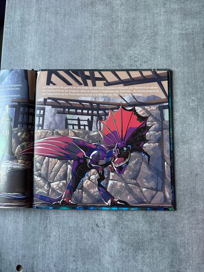 Livre, dragon 3 le monde caché - photo numéro 3