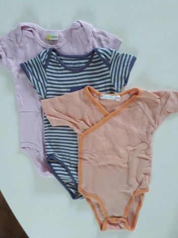 Lot bodies 1 an