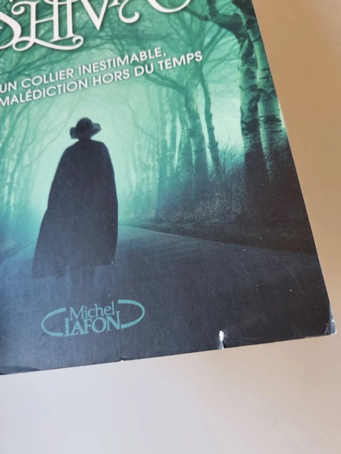 Box livre Les larmes de Shiva - photo numéro 6