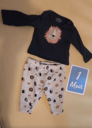 Ensemble bébé lion