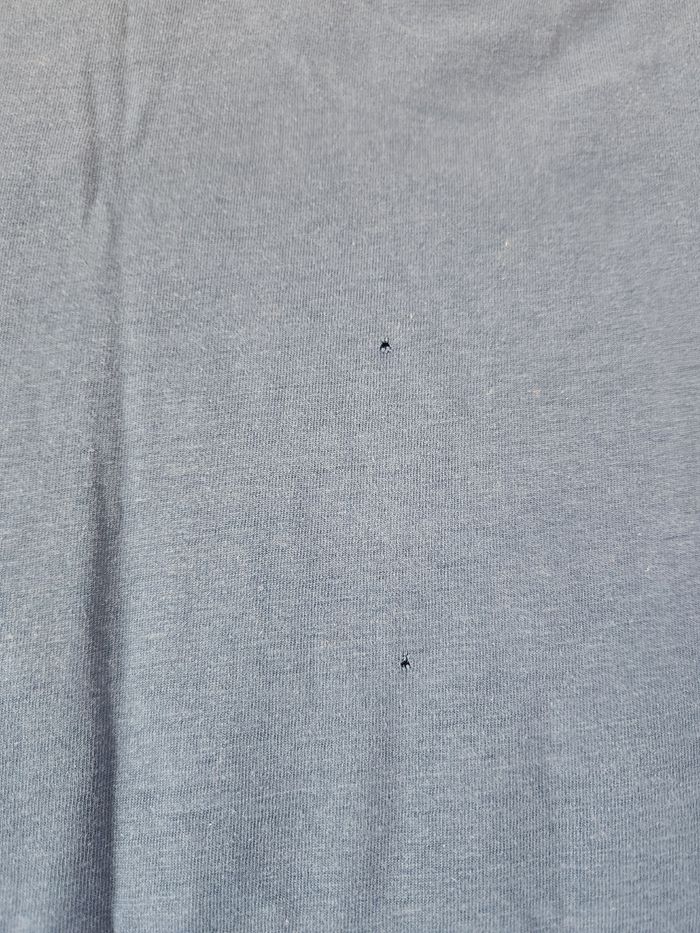 Tee-shirt - photo numéro 5