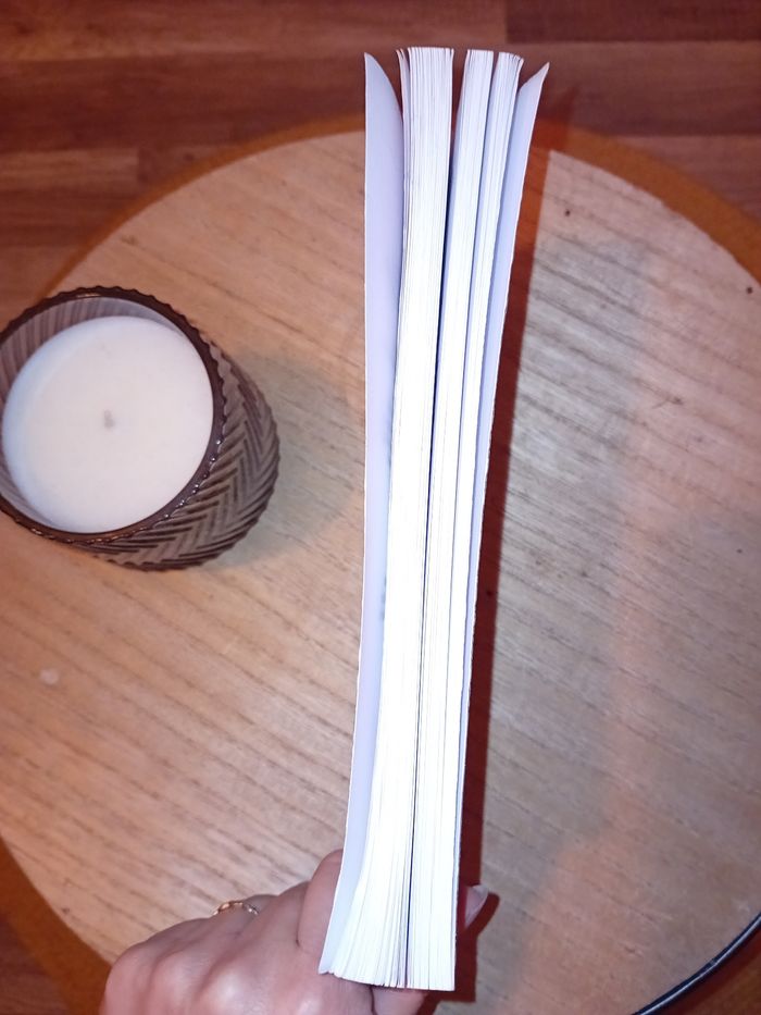 Livre Envers et contre tout - photo numéro 4