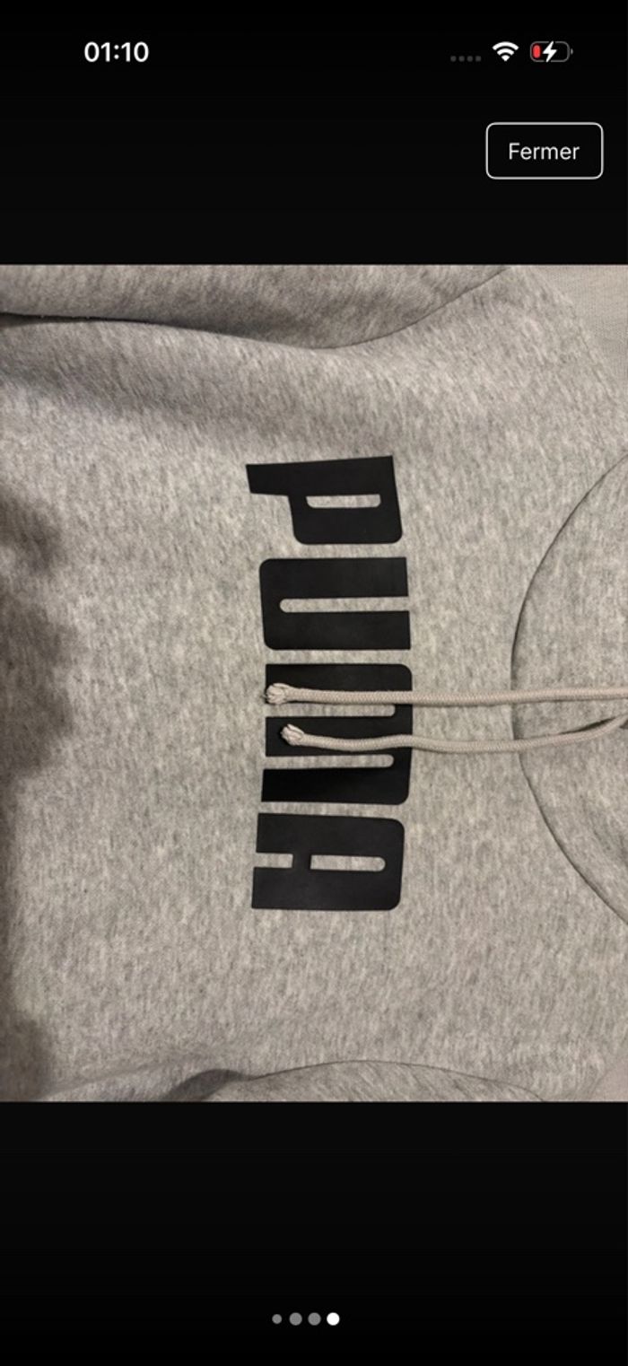 Pull puma - photo numéro 3