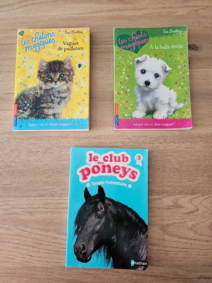 Livre chiots, chatons magiques / poney club enfant - photo numéro 15